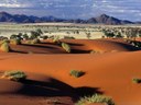 Namib